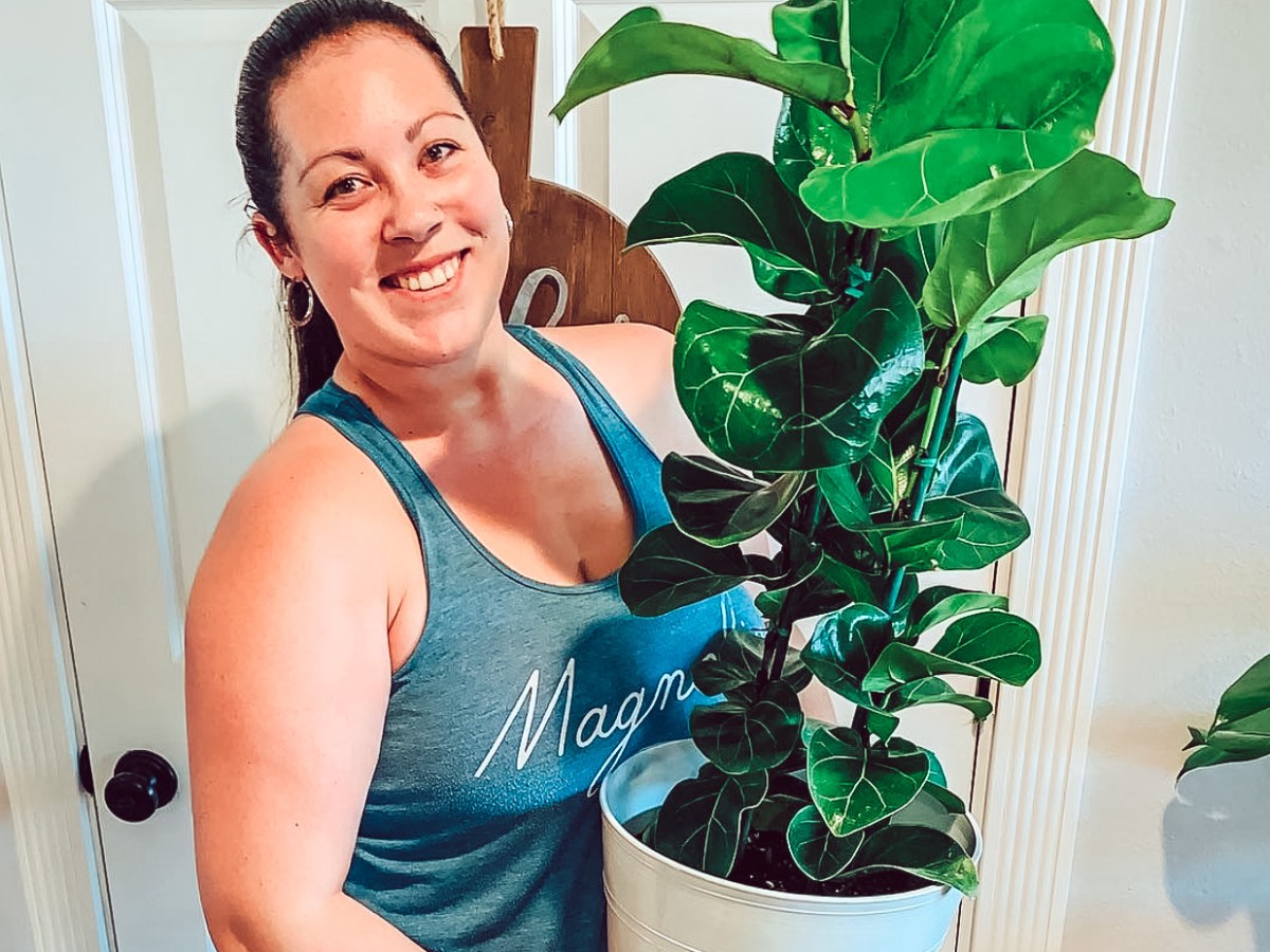 Fiddling with my Fiddle Leaf Fig (Plant tips and&nbsp;more)